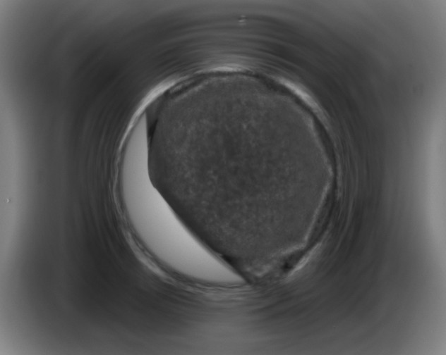 X0000085320850200703302043