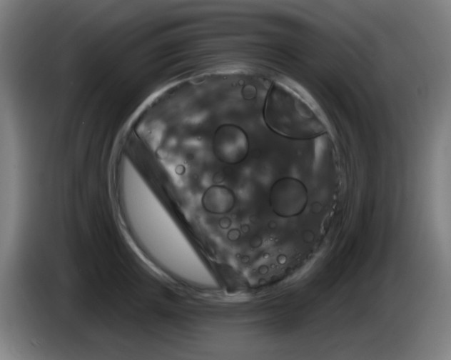 X0000085320851200703302043