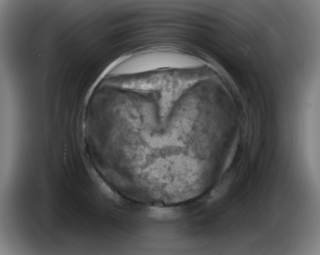 X0000085320852200703302043