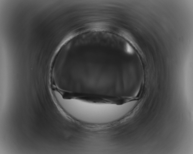 X0000085320853200703302043