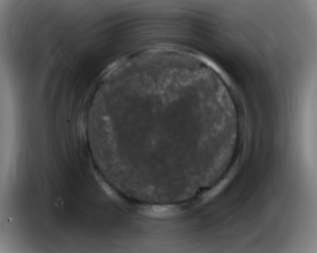 X0000085320857200703302043