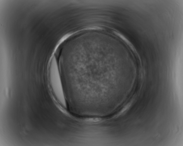 X0000085320858200703302043