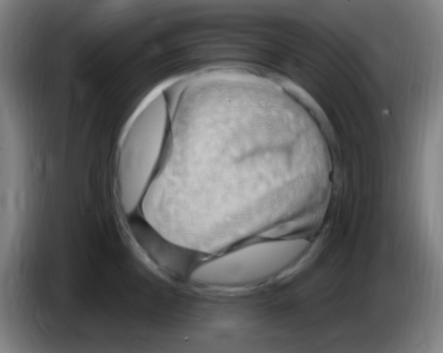 X0000085320860200703302043