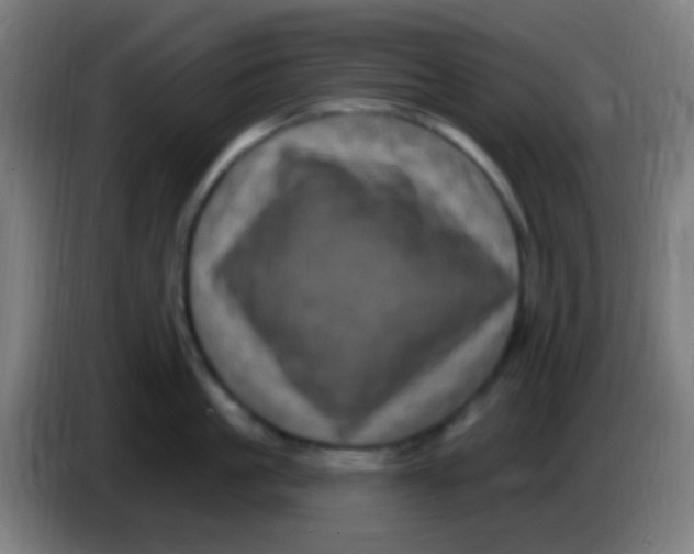 X0000085320861200703302043