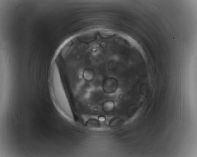 X0000085320863200703302043