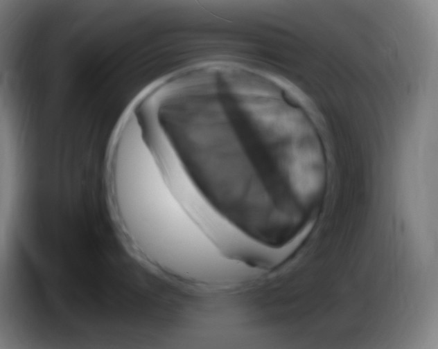 X0000085320864200703302043