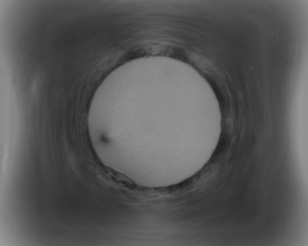 X0000085320865200703302042