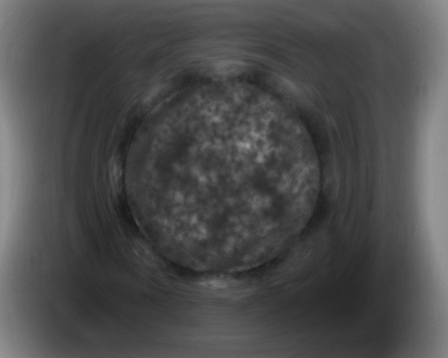 X0000085320866200703302042