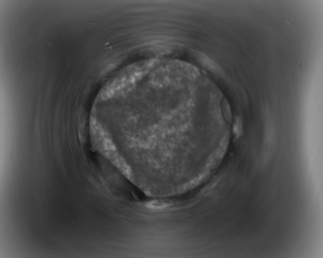 X0000085320867200703302042