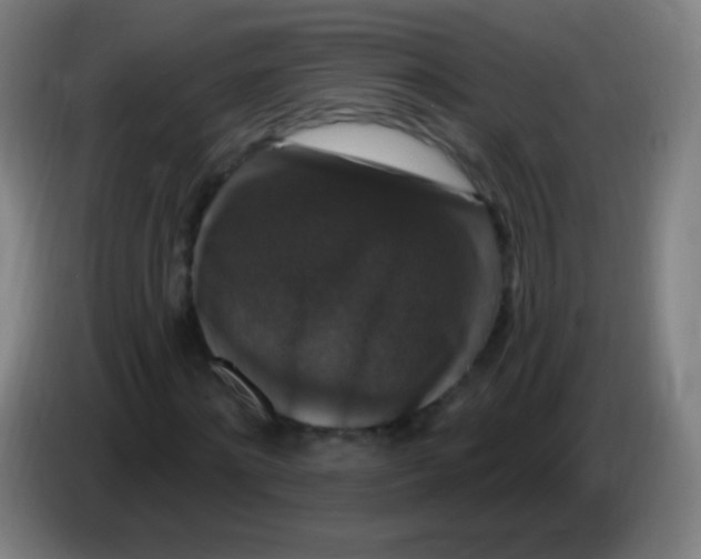 X0000085320868200703302042