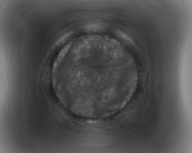 X0000085320870200703302042