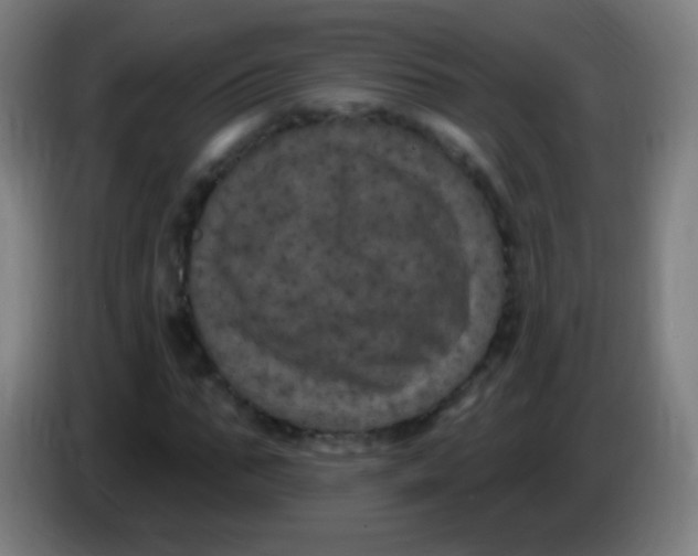 X0000085320871200703302042