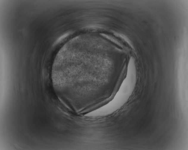 X0000085320872200703302042