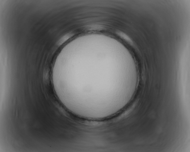 X0000085320873200703302042