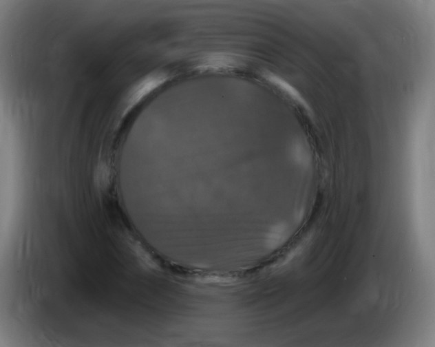 X0000085320874200703302042