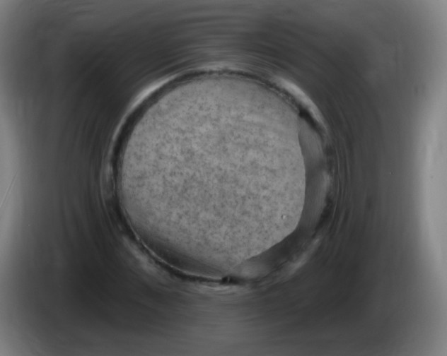 X0000085320876200703302042