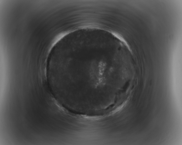 X0000085320877200703302042