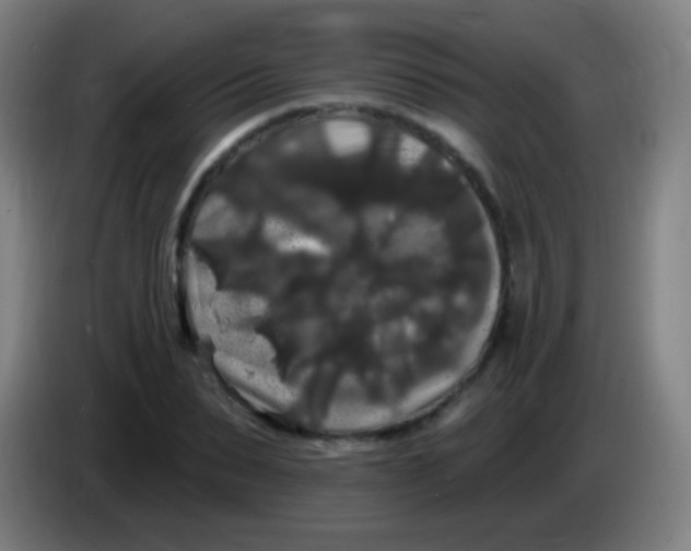 X0000085320879200703302042