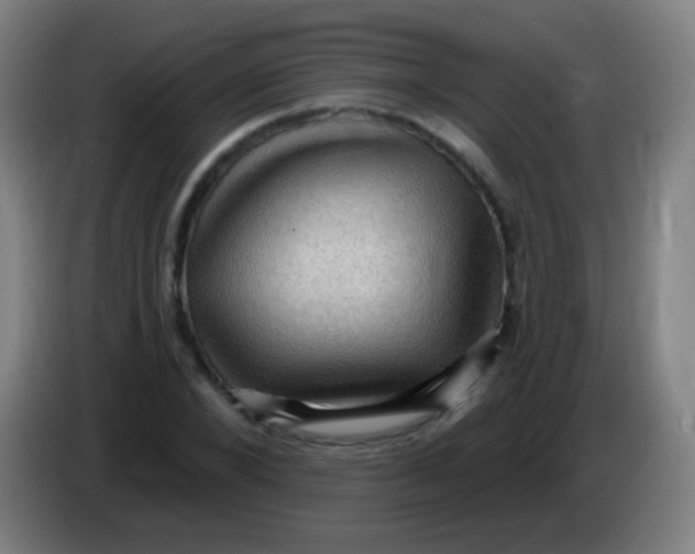 X0000085320880200703302042