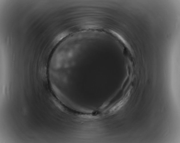 X0000085320881200703302042