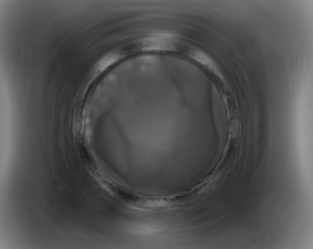 X0000085320882200703302042