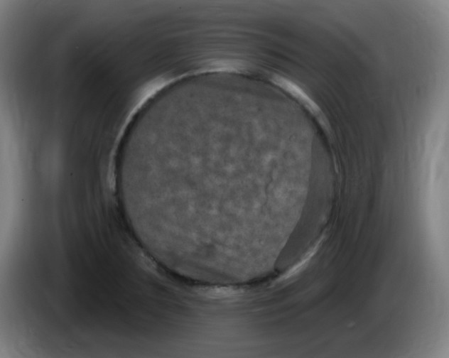 X0000085320883200703302042