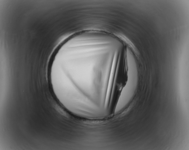 X0000085320884200703302042