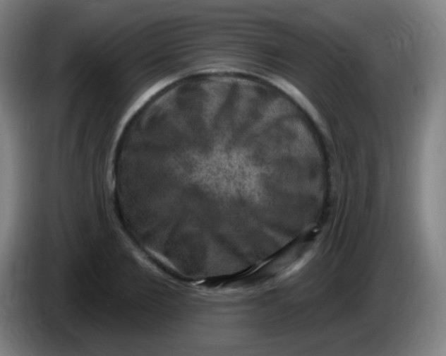 X0000085320885200703302042