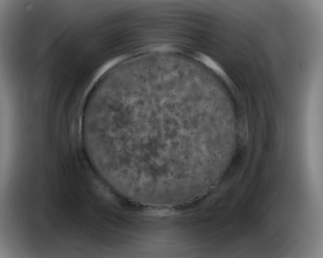 X0000085320886200703302042