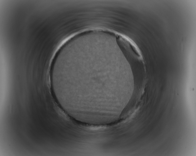 X0000085320887200703302042