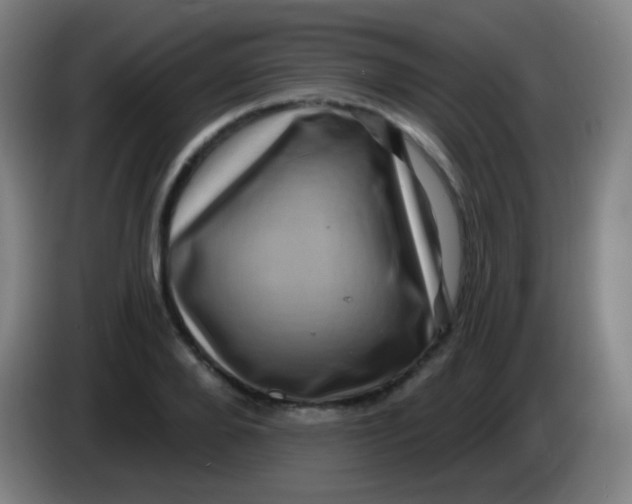 X0000085320888200703302042