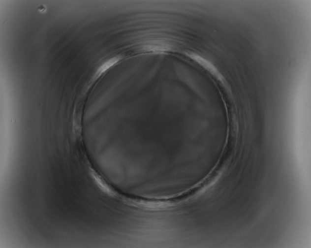 X0000085320889200703302042