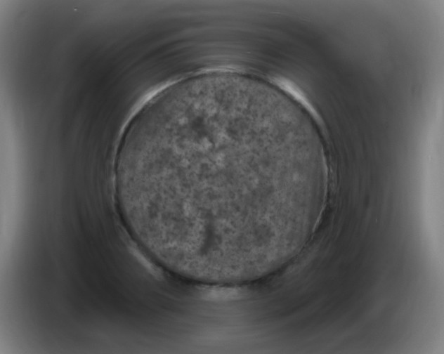 X0000085320890200703302042