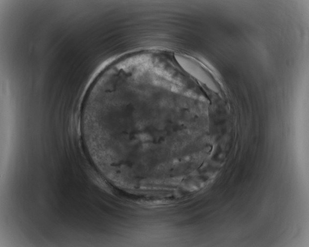 X0000085320891200703302042