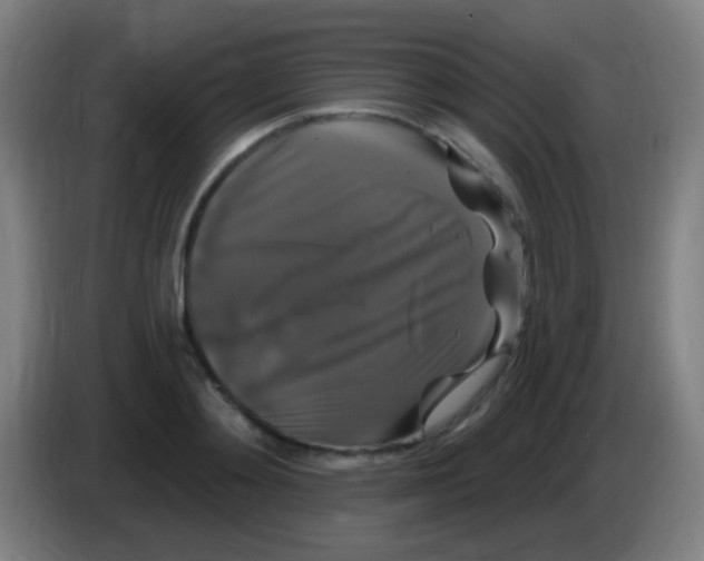 X0000085320892200703302042