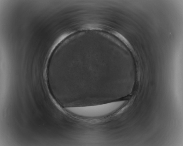 X0000085320893200703302042