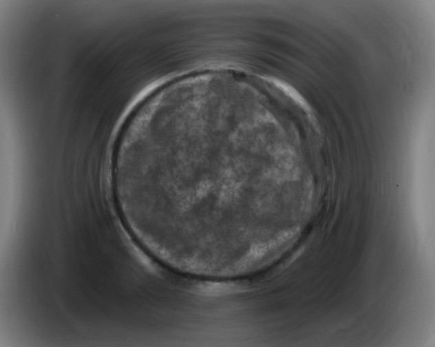 X0000085320894200703302042