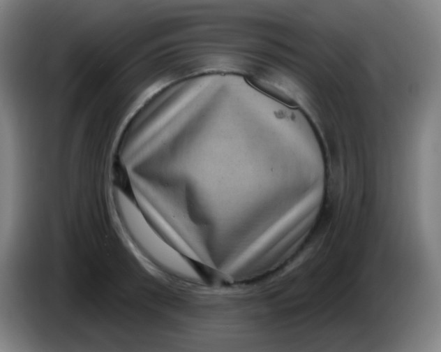 X0000085320898200703302042