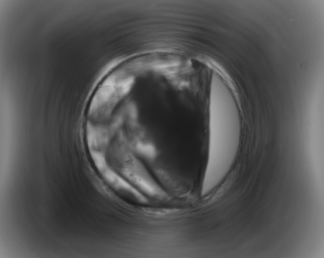 X0000085320899200703302042