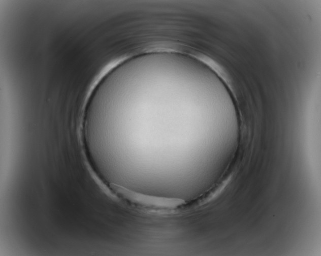 X0000085320901200703302042