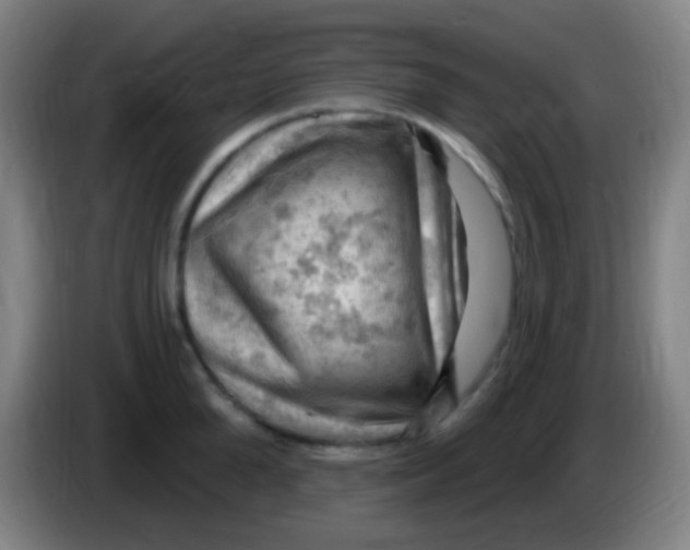 X0000085320904200703302042