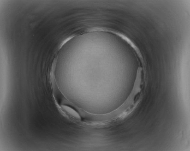 X0000085320905200703302042