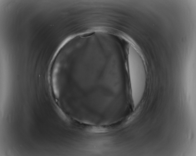 X0000085320907200703302042