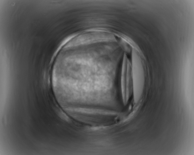 X0000085320908200703302042