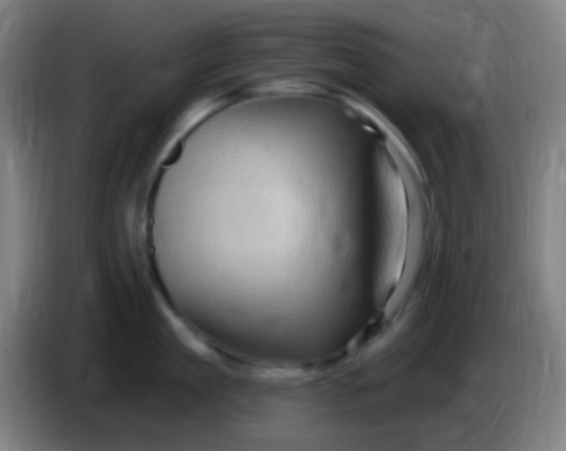 X0000085320909200703302042