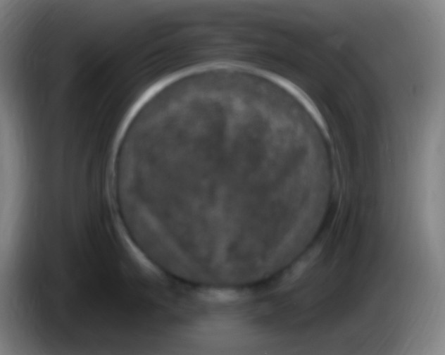 X0000085320911200703302042