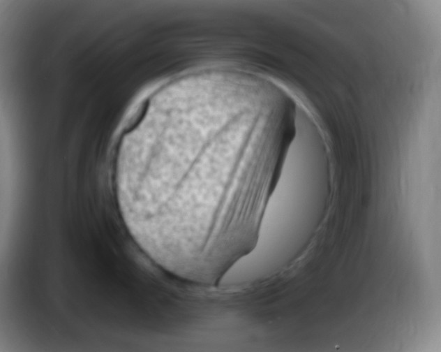 X0000085320912200703302042