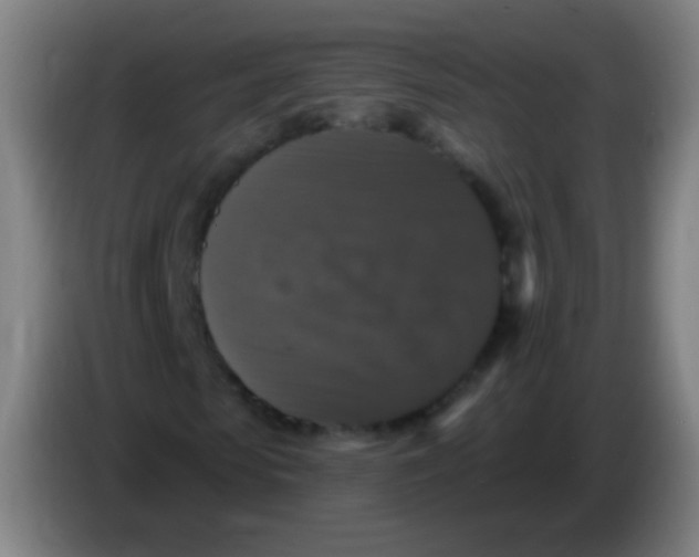 X0000085320913200703302041