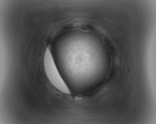 X0000085320914200703302041