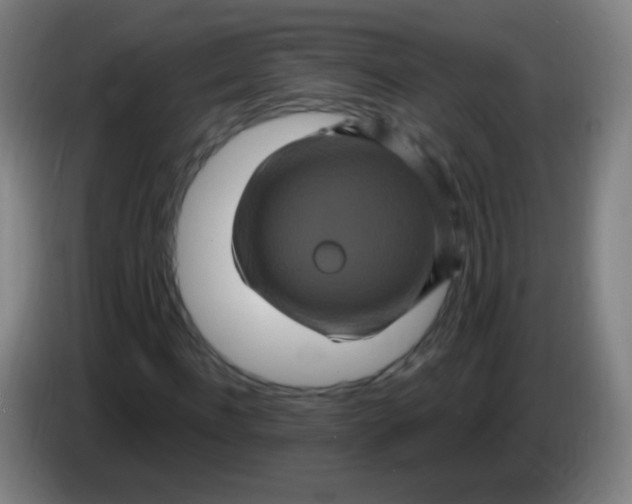 X0000085320916200703302041